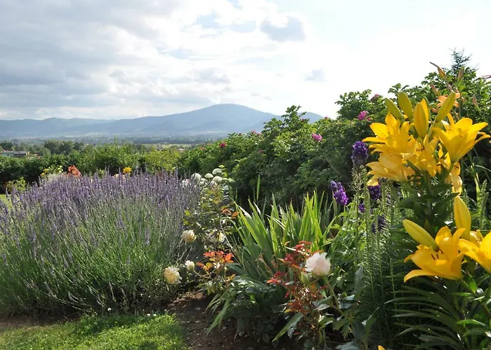 Dom Na Zboczu Lodygowice